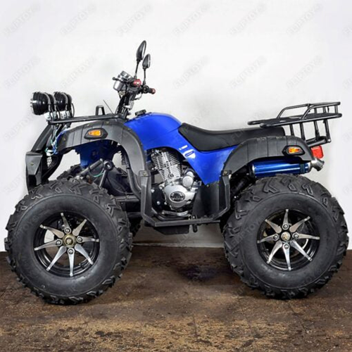 Standard ATV Bike